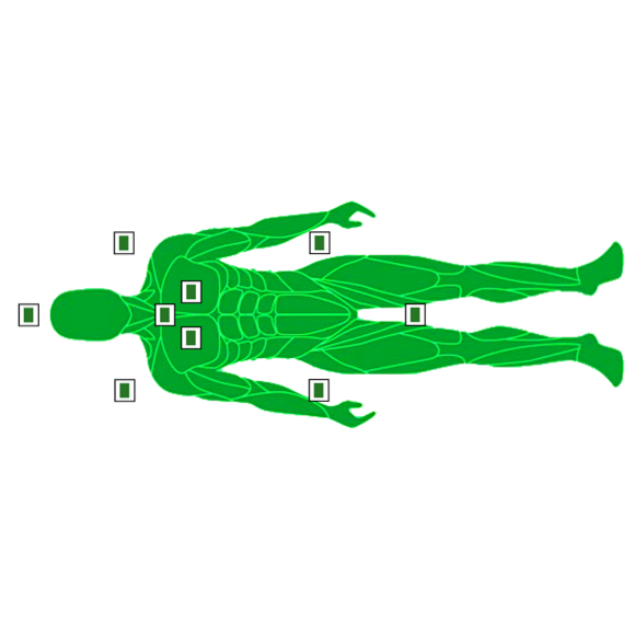 Protocolos bioenergéticos