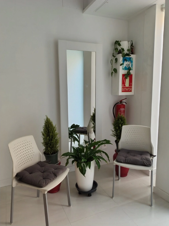 Recepción